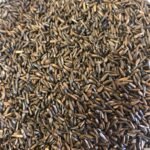 Nyjer Seed