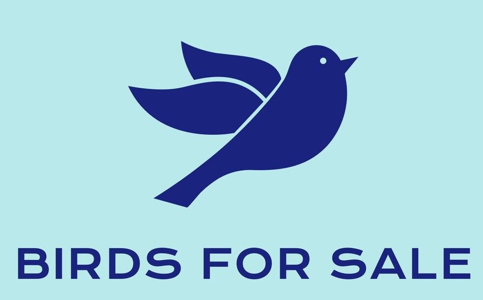 Birds For Sale Online
